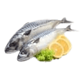 Fish & Seafood