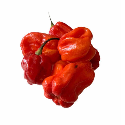 Ata rodo scotch Bonnet Hot Pepper 200g