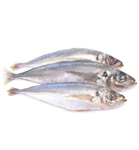 Horse Mackerel bag