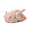 Poultry