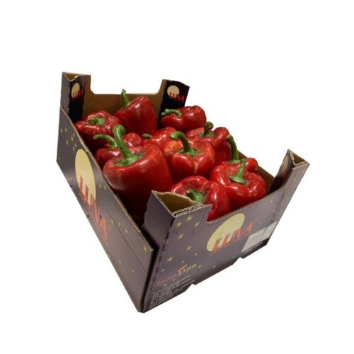 Pointy red cap pepper Box 5kg