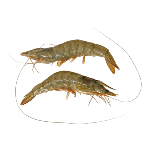 Smoked Jumbo Parwns 70g