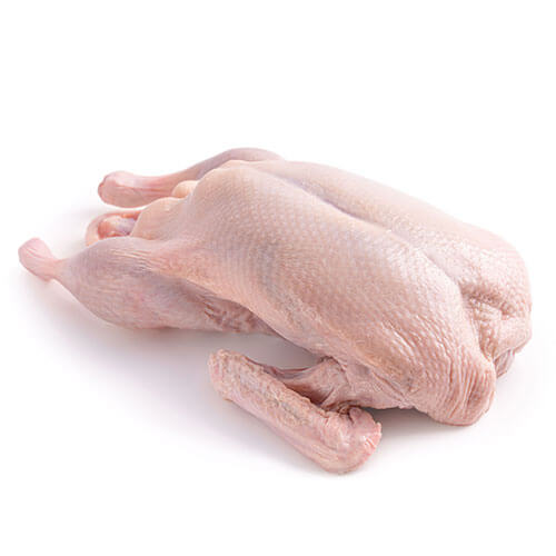 Whole Duck 10kg