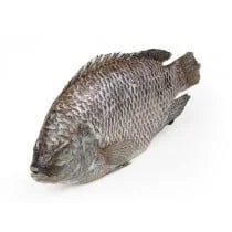 Whole Tilapia Fish 500 - 800g medium