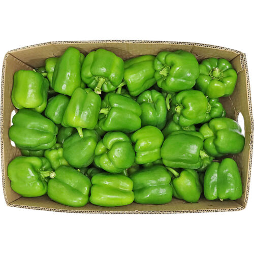 Green capsium pepper box 4kg