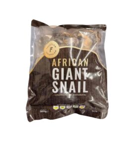 African Giant snail