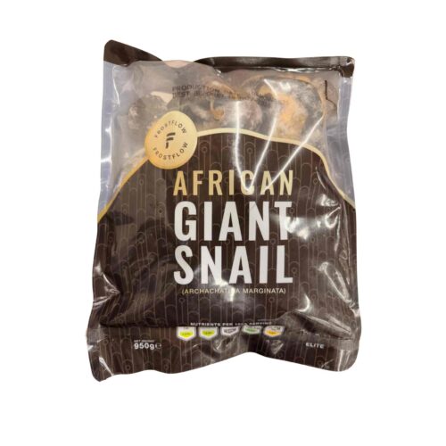 African Giant snail